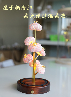 海胆小夜灯七星海胆灯复古小夜灯