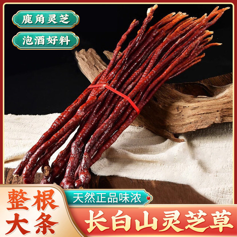 热卖野生野生灵芝草旗舰店整棵长白山鹿角灵芝干货整朵好好货真货
