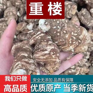 精品正品重楼 七叶一枝花 云南滇重楼干货粉质草河车蚤休包邮