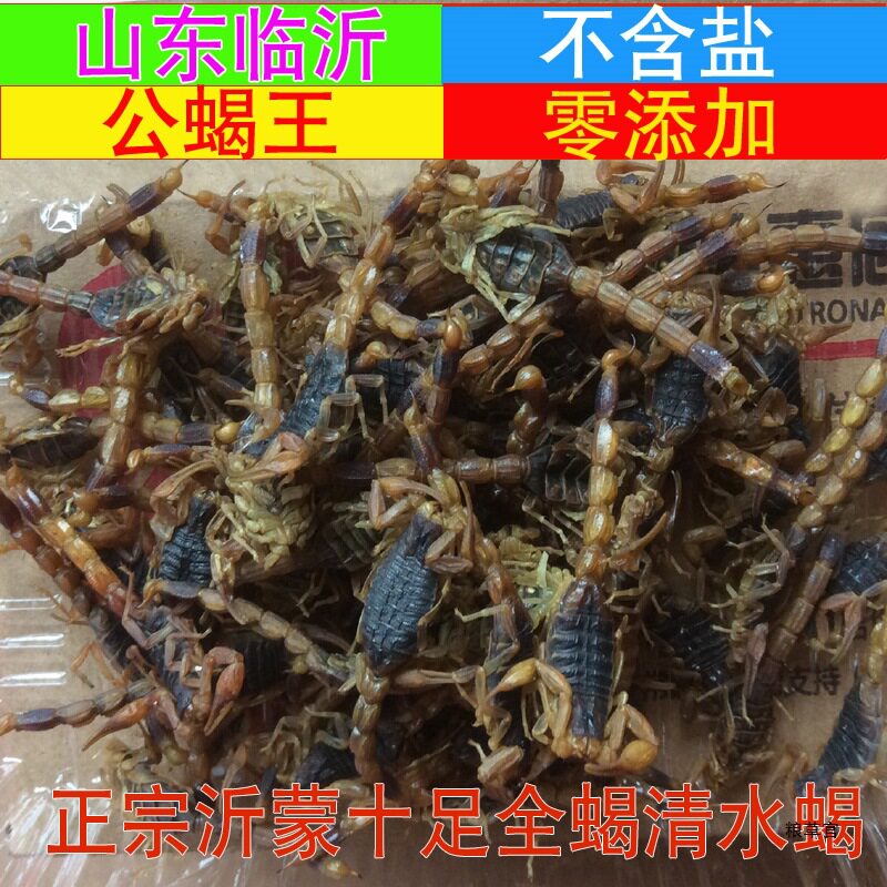 热卖沂蒙十足全蝎活蝎子晒制无盐清水全蝎油炸食用煲汤全虫真货