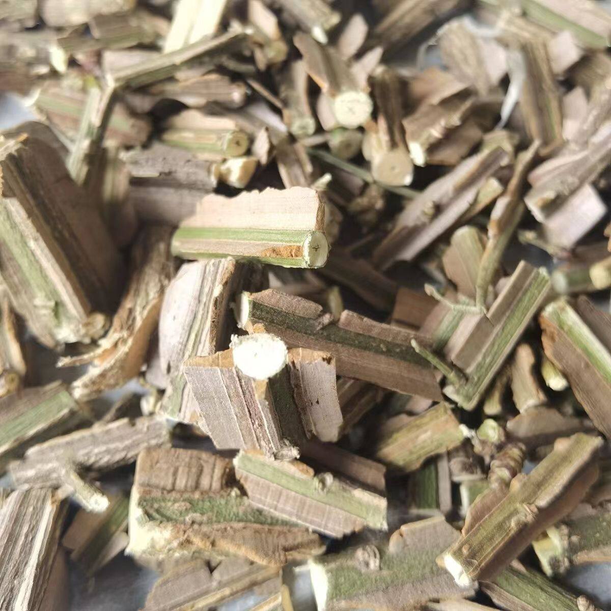 精品首单优惠 秦岭野鬼箭羽卫矛鬼箭羽段当季新货正品带枝发货