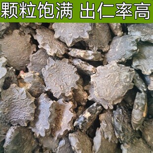 材 木鳖子 1千克漏苓子 藤桐子 木鳖子真货