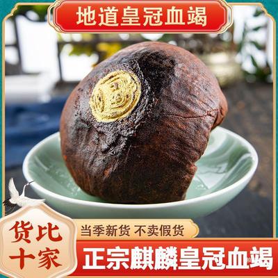 精品麒麟竭正印尼皇冠血竭品木血竭250g500g克可血竭真货好货