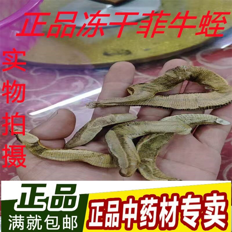 热卖冻干菲牛蛭野生金边水蛭500g清水宽体药用冻干粉蚂蟥真货好