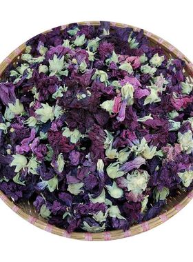 龙血花 不老花 云南高山农产品真货