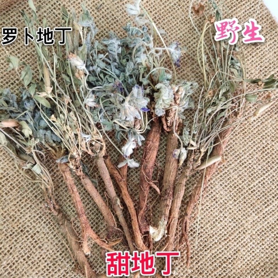 精品紫花地丁500g克萝卜地丁甜地丁干货紫花地丁根野萝卜甜地丁