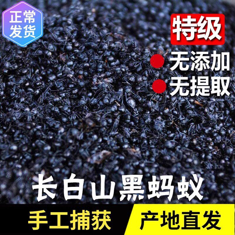 热卖黑蚂蚁干野生正品精品养生皮粉麻材长白山大黑蚂蚁可打粉好货