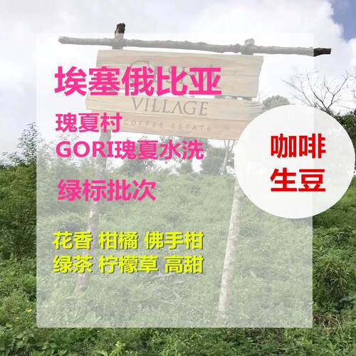 新产季埃塞俄比亚瑰夏村瑰夏种绿标批次精品咖啡生豆包邮