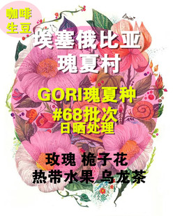 新产季埃塞俄比亚绿标瑰夏村瑰夏种日晒GORI花香四溢果香生豆