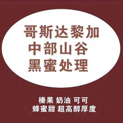 新产季进口精品咖啡哥斯达黎加中部山谷黑蜜处理咖啡生豆包邮