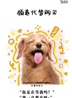 启明动物保护中心2026年7月感恩卡片
