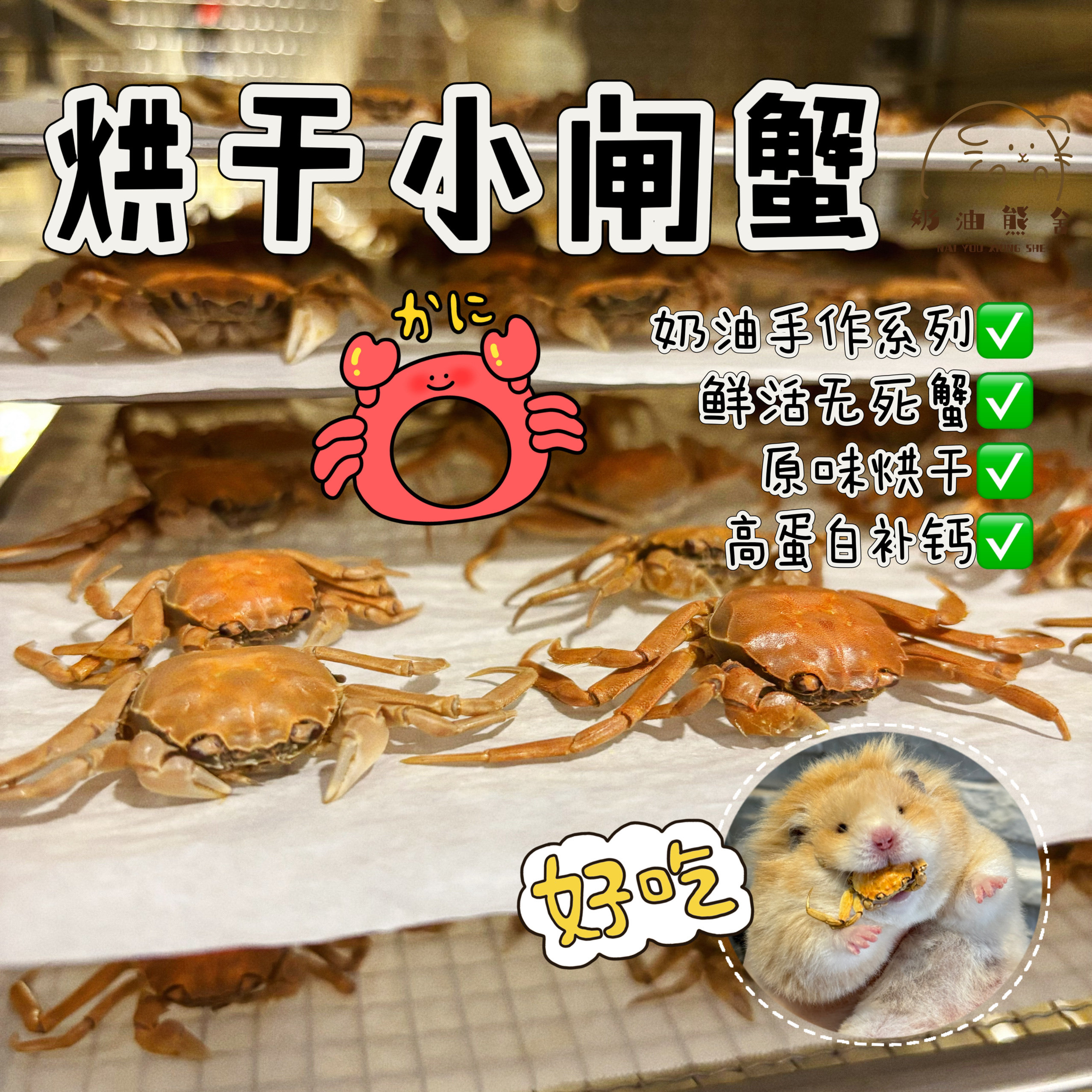 奶油熊舍手作烘干小闸蟹迷你螃蟹补钙长肉肉金丝熊花枝鼠零食仓鼠,宠物/宠物食品及用品,鼠粮,淘宝优惠券,粉丝福利购,淘宝优惠卷