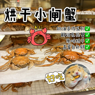 奶油熊舍手作烘干小闸蟹迷你螃蟹补钙长肉肉金丝熊花枝鼠零食仓鼠