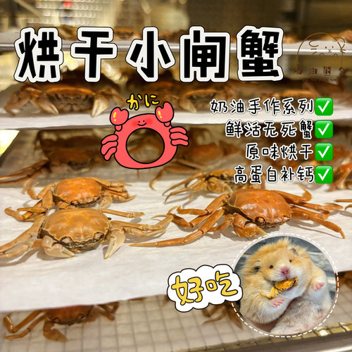 奶油熊舍手作烘干小闸蟹迷你螃蟹补钙长肉肉金丝熊花枝鼠零食仓鼠