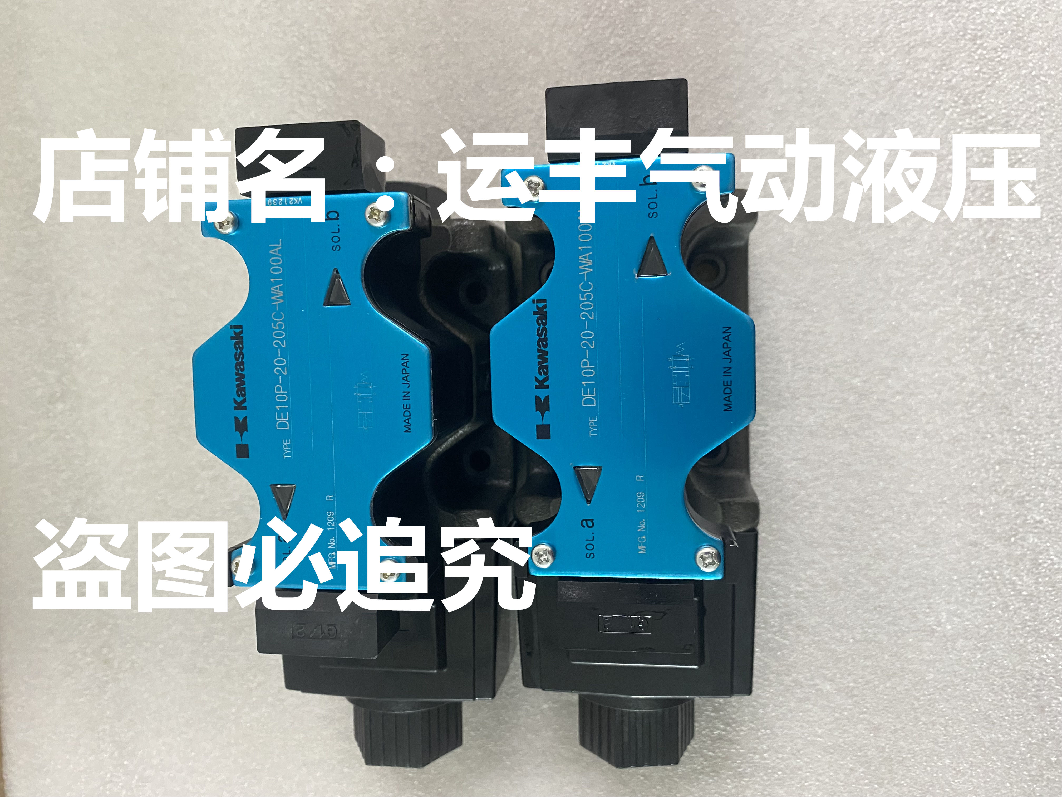 电磁阀DE10P-20-205C-WA100AL