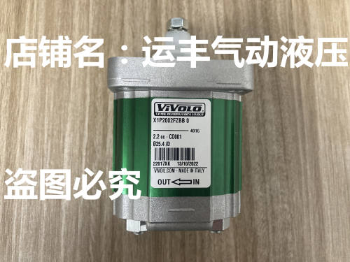 X1P2002FZBB意大利VIVOIL齿轮泵