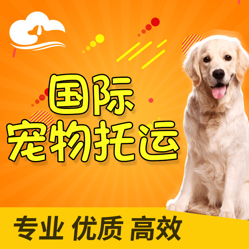 宠物出国回国清关国际宠物托运宠物到澳洲新西兰台湾欧盟猫狗空运