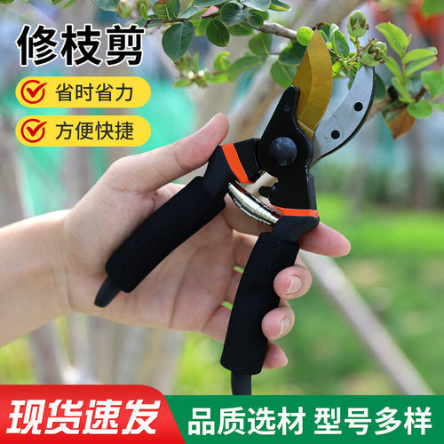 加厚SK5钢修枝剪园艺苗圃果枝省力剪粗枝园林外贸跨境果树剪批发