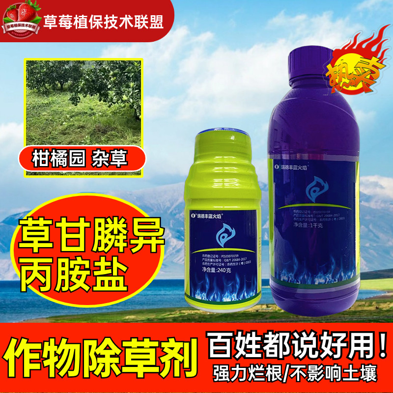 蓝火焰 瑞德丰 41%草甘膦异丙胺盐 柑橘园多年杂草杀草农药除草剂