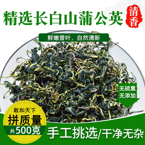 正品新鲜另售特级杭白菊蒲公英茶