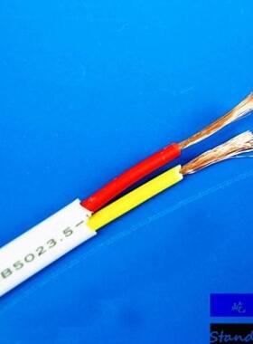 特惠白色2芯电源线 2芯护套线 RVV 2X1平方 电源线  白色软护套线