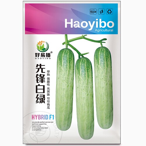 白绿黄瓜种子水果黄瓜种子好易播