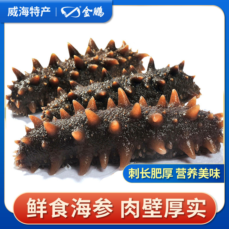 金鹏即食海参500g山东威海刺参年货礼盒旗舰店鲜活海鲜孕妇非干货