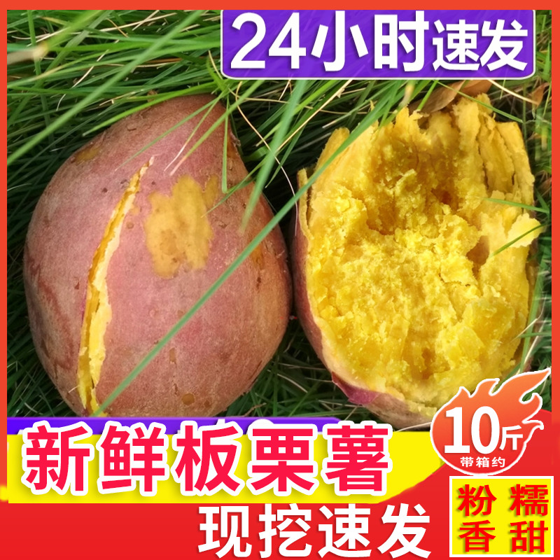 茂名新鲜现挖黄心红薯 黄肉板栗鸡蛋黄番薯 粉糯山芋栗子地瓜,水产肉类/新鲜蔬果/熟食,番薯,淘宝优惠券,粉丝福利购,淘宝优惠卷