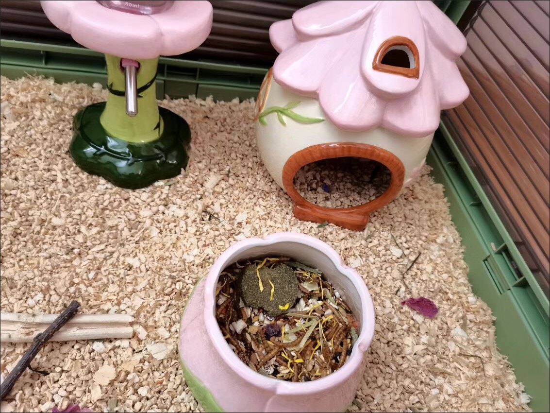 包邮花朵陶瓷仓鼠金丝熊水樽水壶支架森林风造景系列房子食盆