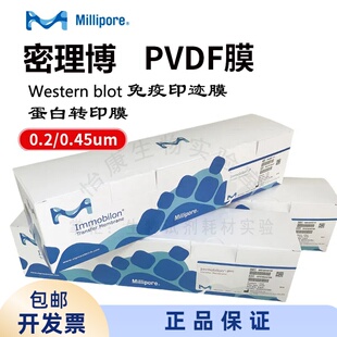 密理博PVDF膜0.2umWesternblot蛋白转印ISEQ00010三明治0.45实验