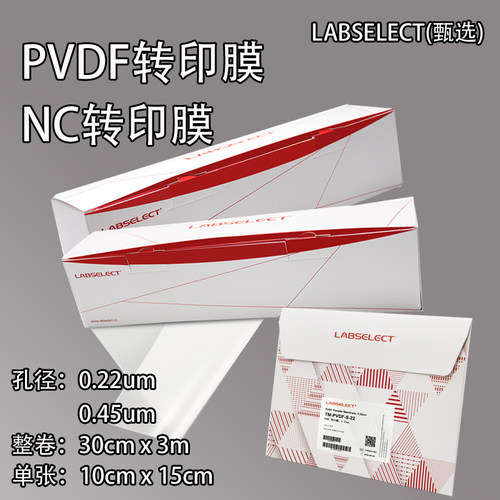 转印膜PVDF膜NC硝酸纤维素甄选