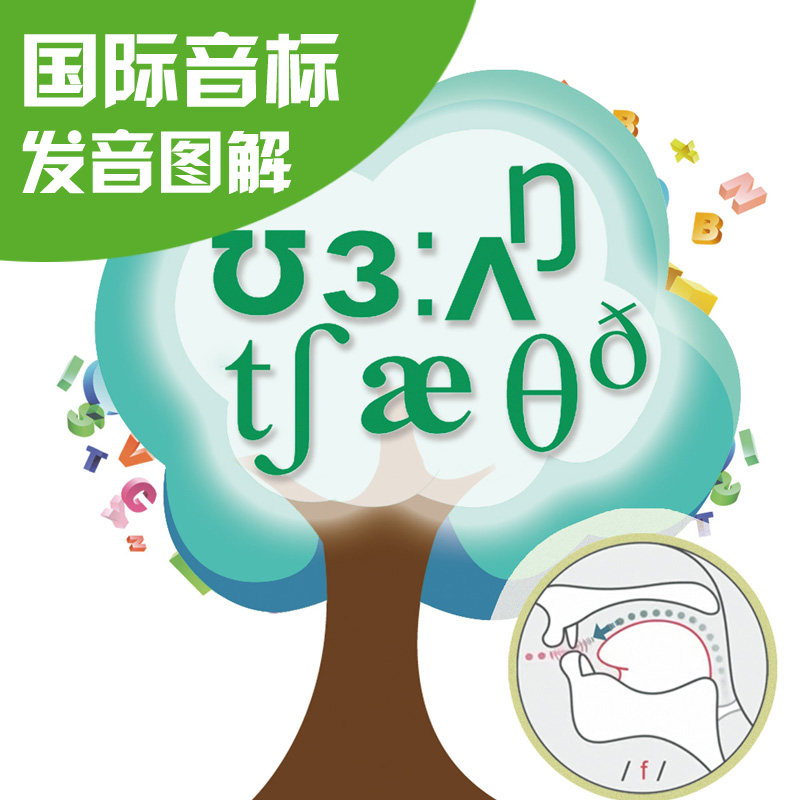 图解新版48个英语国际音标卡片 零基础入门自学点读发音拼读教具怎么样,好用不?