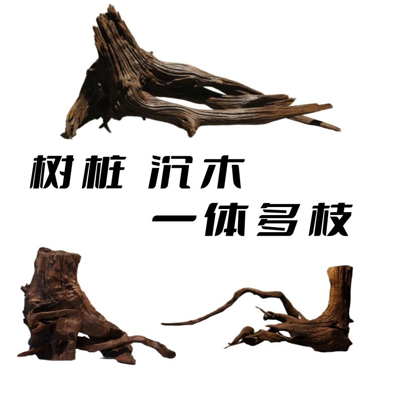 树桩紫柚木沉木精品天然鱼缸造景