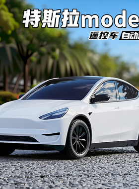 双鹰特斯拉模型汽车2026新款黑科技遥控车四驱男孩儿童赛车玩具车
