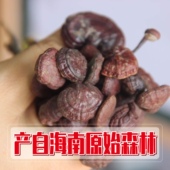 灵芝正品 海南五指山长颈小红灵芝王 包邮 海南灵芝王 灵芝 红竹芝