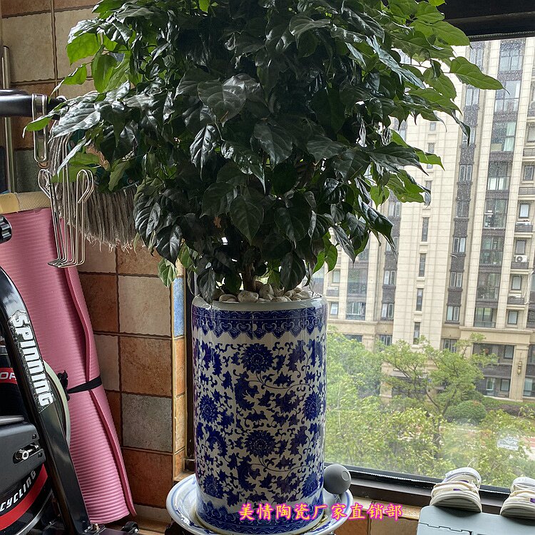 景德镇陶瓷器种树花盆卷轴桶字画缸青花瓷帽筒雨伞筒大号直筒花瓶
