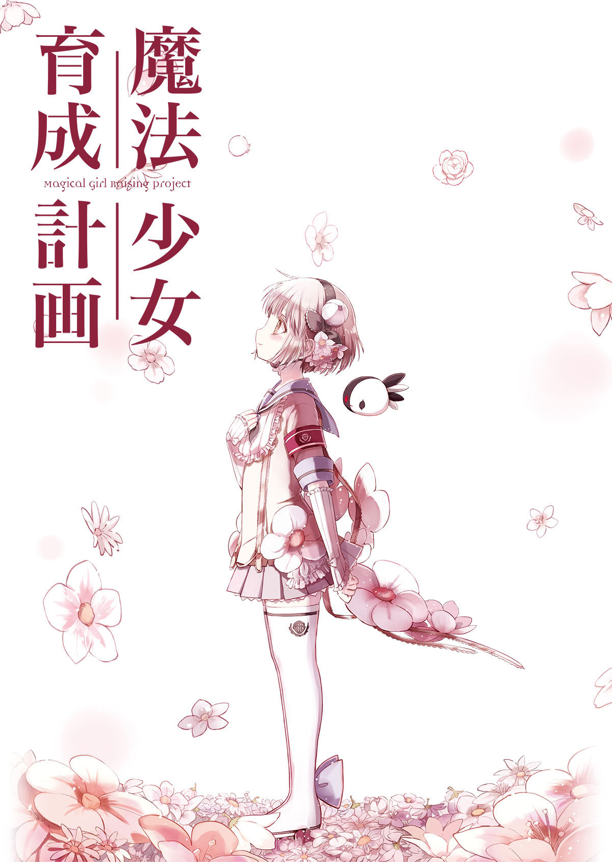 素材/定制 盒装  【魔法少女育成计划】  【dvd刻录光盘】