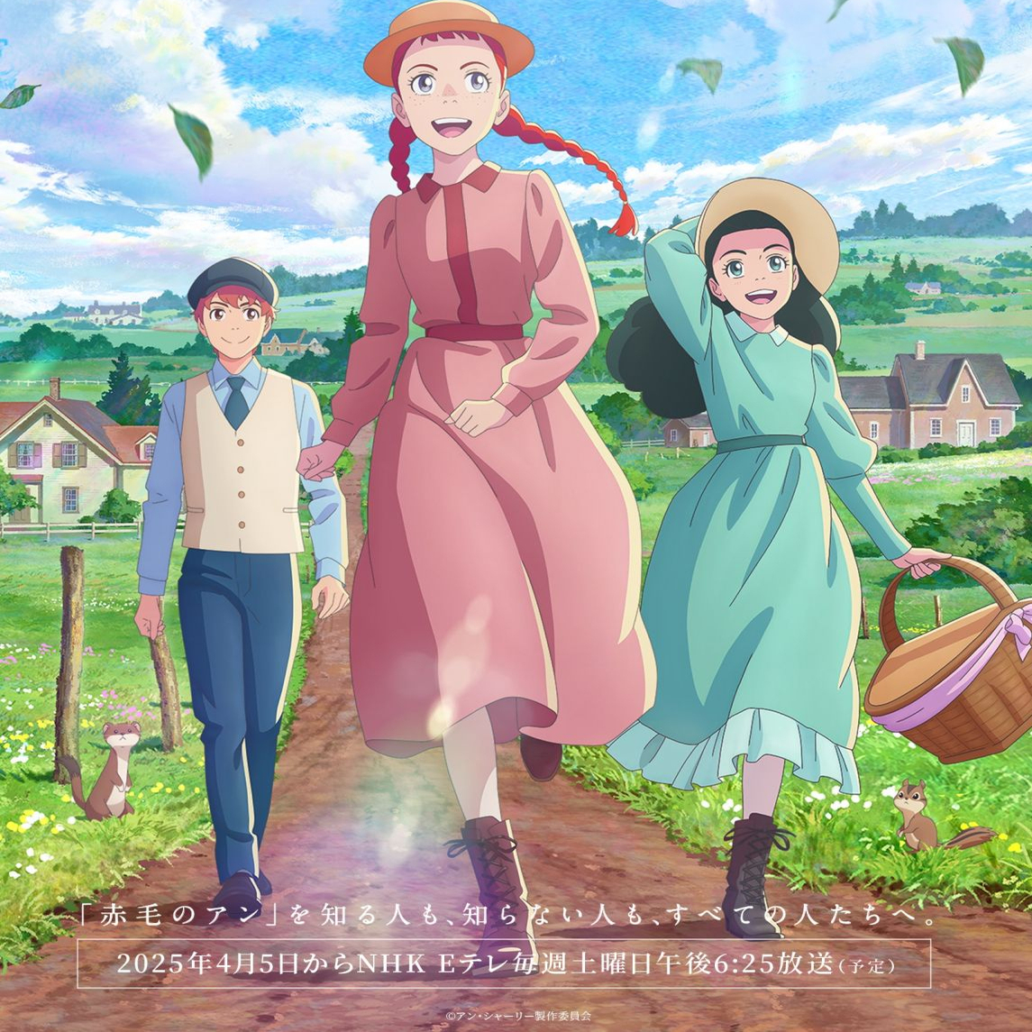 素材/设计盒装 【安妮·雪莉 】 【DVD刻录光盘】