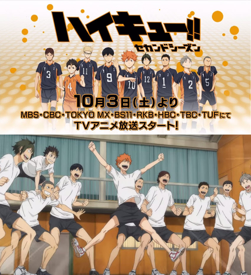 素材/定制 盒装  【排球少年】 1-4 【DVD刻录光盘】