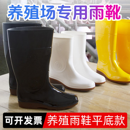 金橡胶靴雨鞋男养殖场防水鞋中高筒平底防滑雨靴易冲洗工作水筒靴