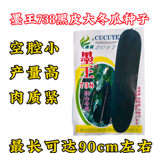 墨王黑皮大冬瓜种子黑皮大冬瓜肉质紧空腔小高产738黑皮大冬瓜种