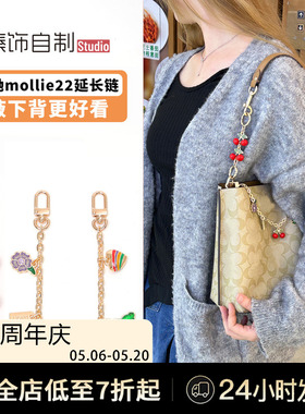 适用蔻驰mollie22樱桃延长链coach水桶包加长链条改造装饰链配件