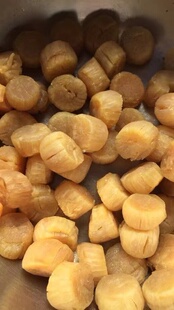 台山广海特产无盐淡晒特级野生大瑶柱大干贝海鲜干货特级包邮