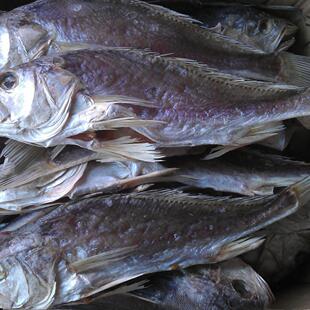 台山广海特产白花咸鱼干淡口咸鱼渔民自晒 下饭佳品 满两斤包邮