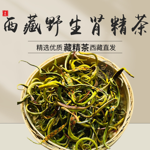 藏精茶西藏正宗野生肾精茶黄金茶嫩叶100g正品新货无硫林芝化石草