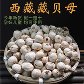 包邮 西藏野生藏贝母正品 官方旗舰店中药材林芝高原无硫润肺100克