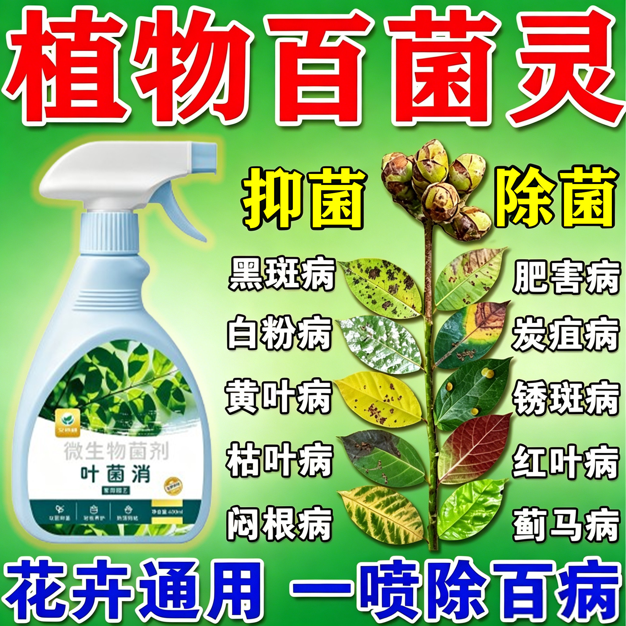 植物多菌灵杀菌剂花卉专用