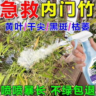 内门竹专用肥竹子急救叶子发黄黑斑烂根竹子黄叶药竹类通用营养液