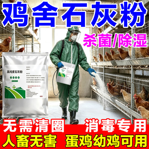 鸡舍消毒石灰粉养殖场家禽专用
