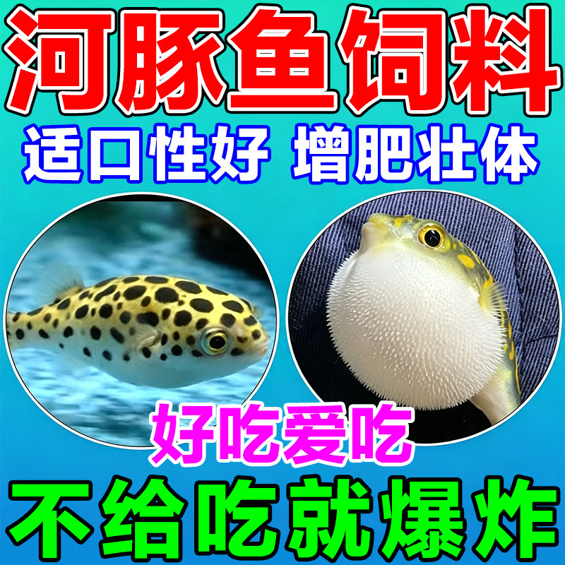 河豚饲料小型热带观赏鱼缓沉颗粒